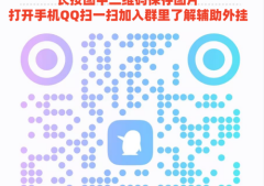 玩家必备攻略“手机麻将程序”(揭秘小程序如何让牌变好)